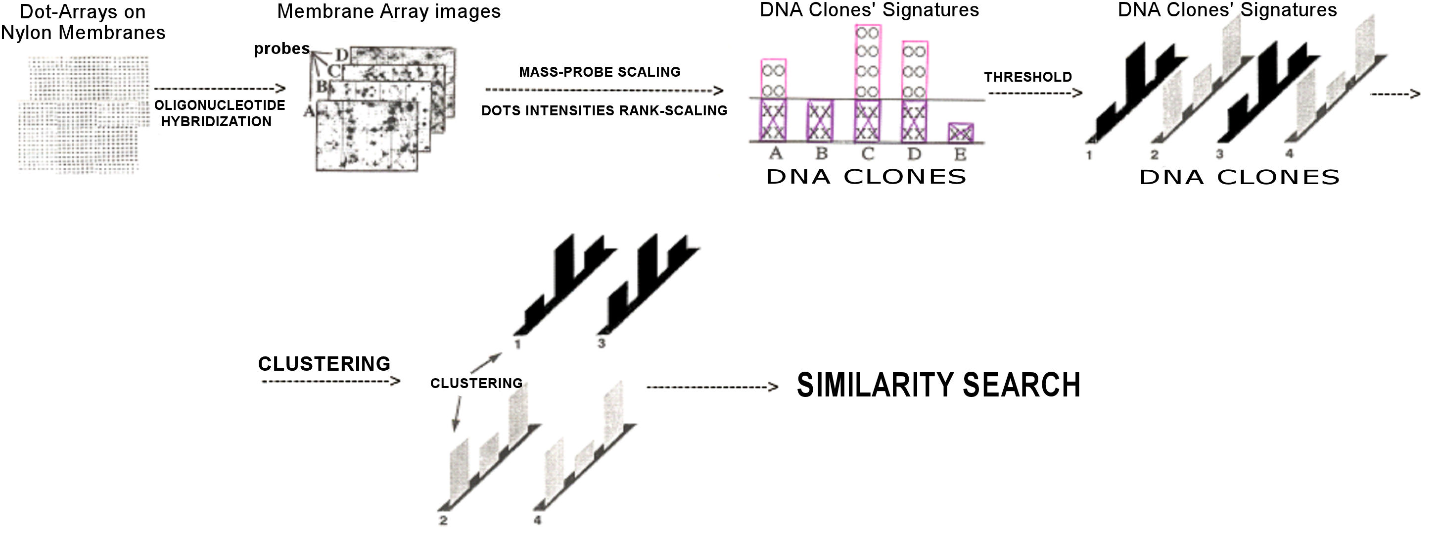 Gene_encode Figure_10